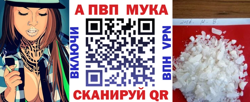 как найти   Мурманск  Альфа ПВП крисы CK 