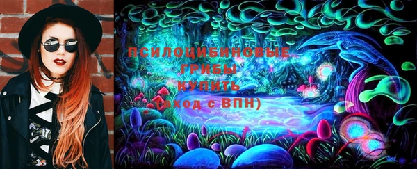 дмт Алексеевка